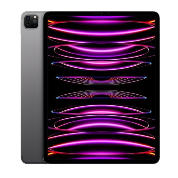 iPad Pro 6 12,9 128 GB Spacegrau Sehr Gut